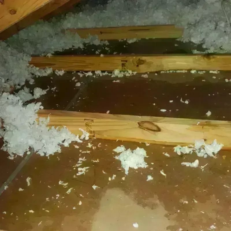 Attic Water Damage in Hogansville, GA